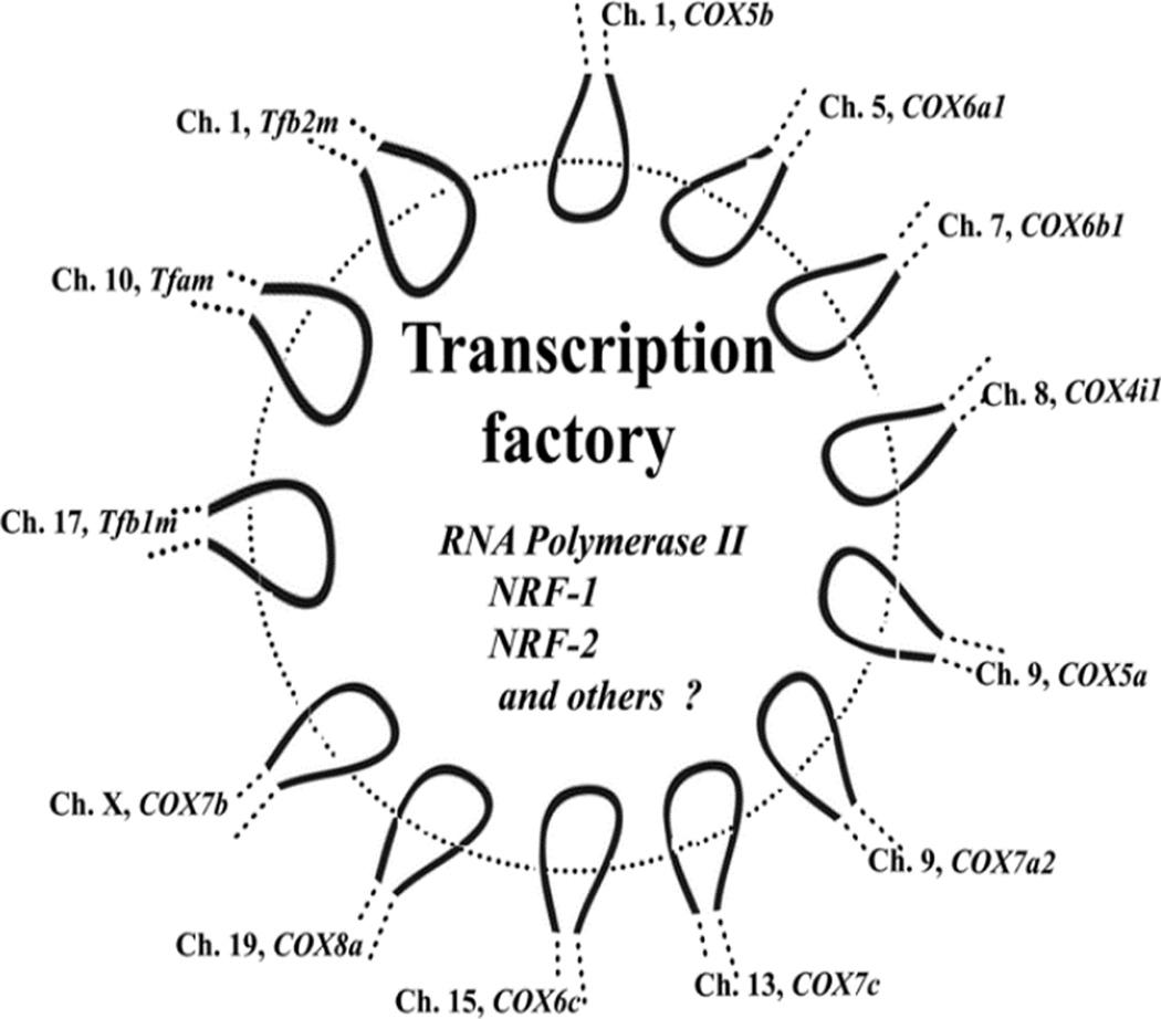 Fig. 12.2