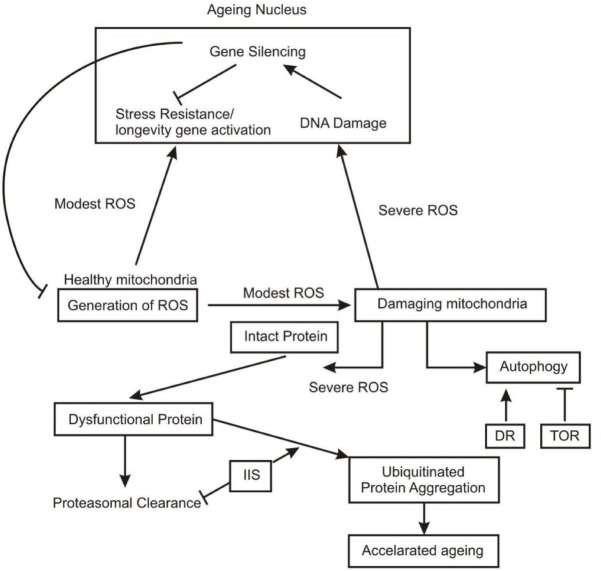 Fig. 1: