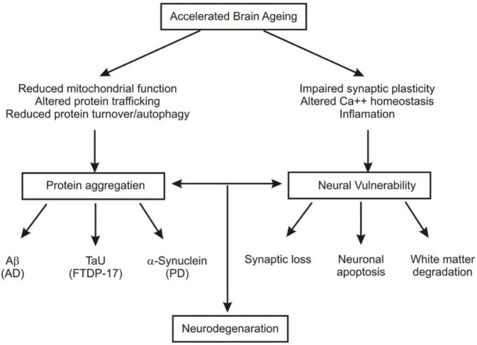 Fig. 2: