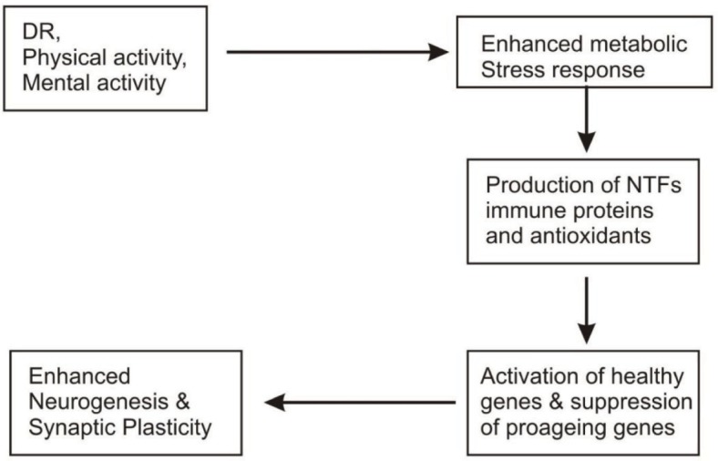 Fig. 3: