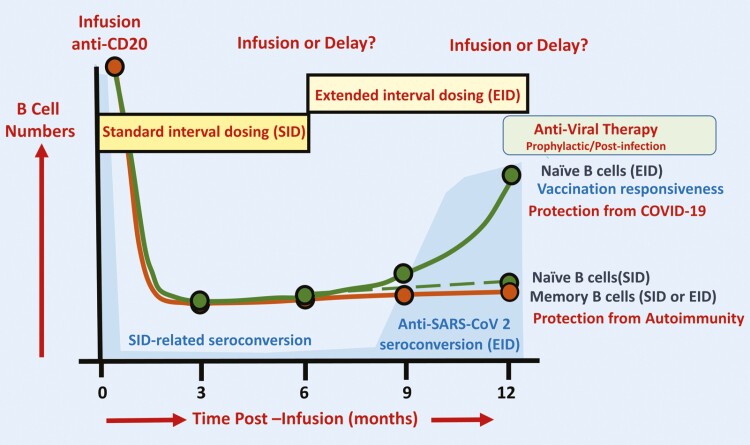 Graphical Abstract