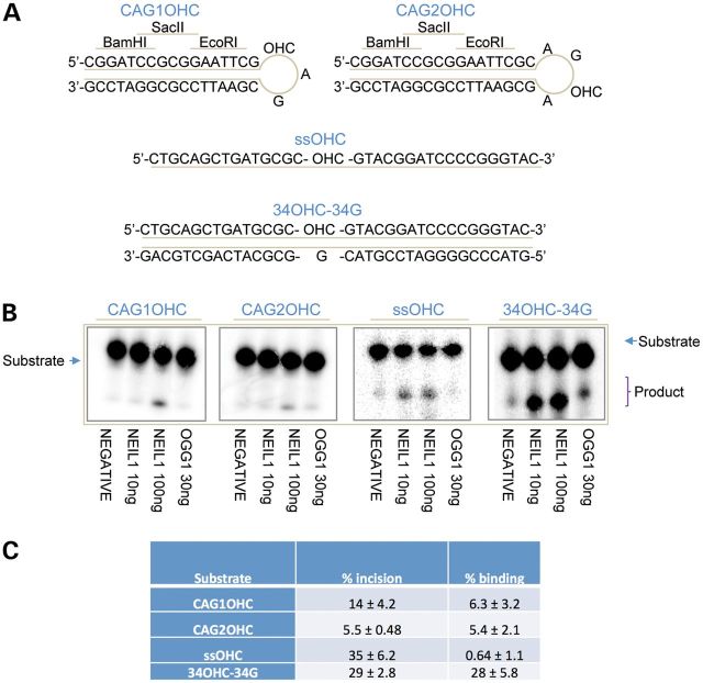 Figure 4.