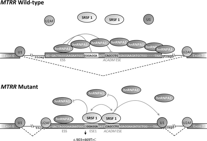 Figure 6.