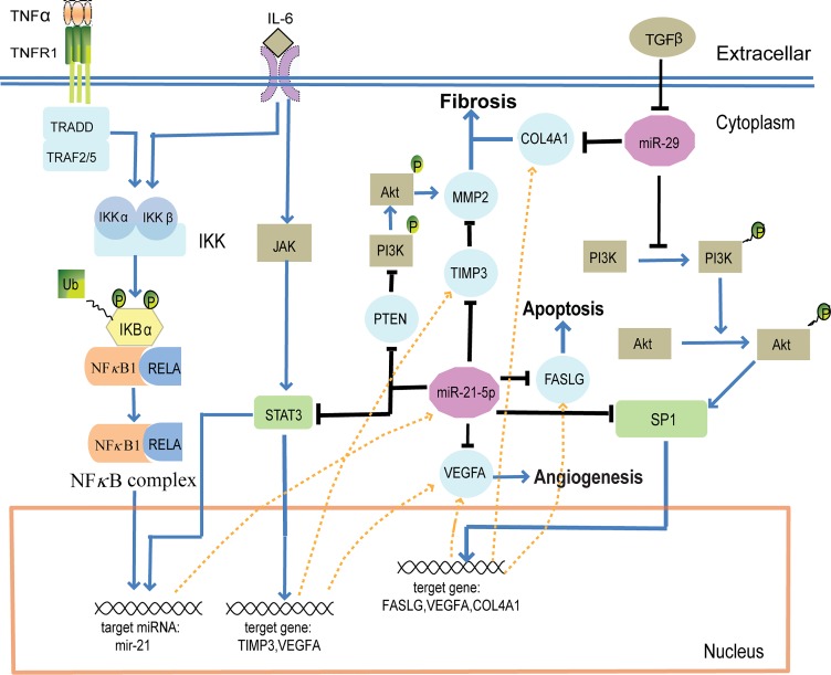 Fig 4