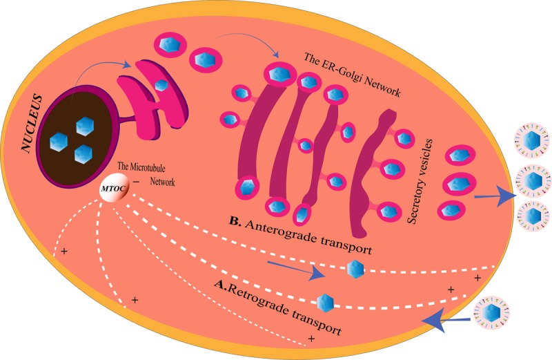 FIGURE 2