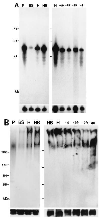 FIG. 7