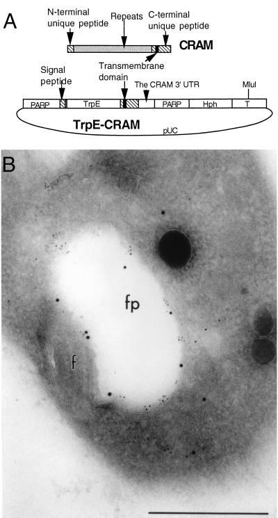 FIG. 10