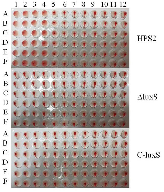 Figure 7