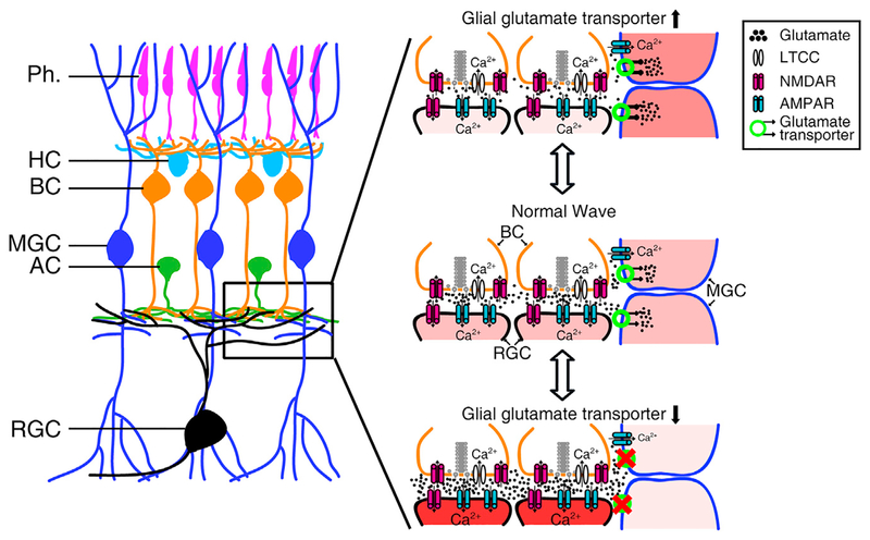 Figure 7.