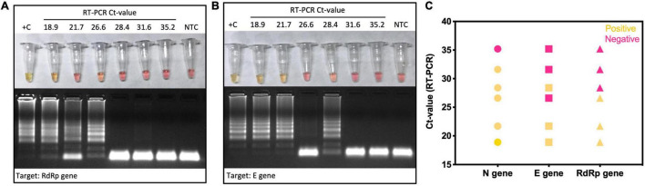 FIGURE 6