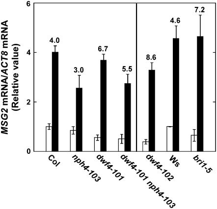 Figure 6.