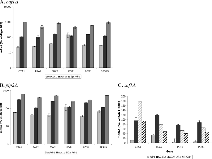 FIGURE 1.