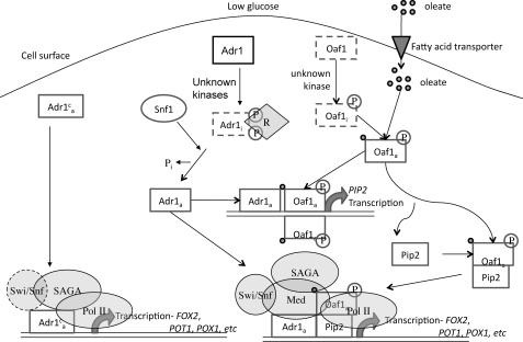 FIGURE 6.