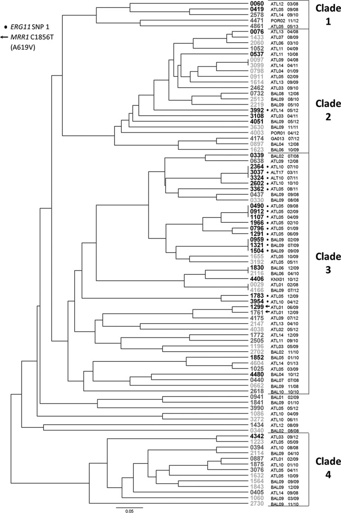 FIG 2