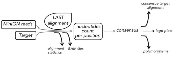 Figure 1: