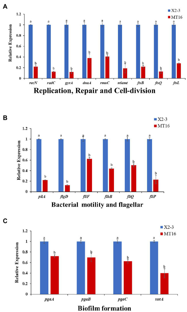 Figure 5