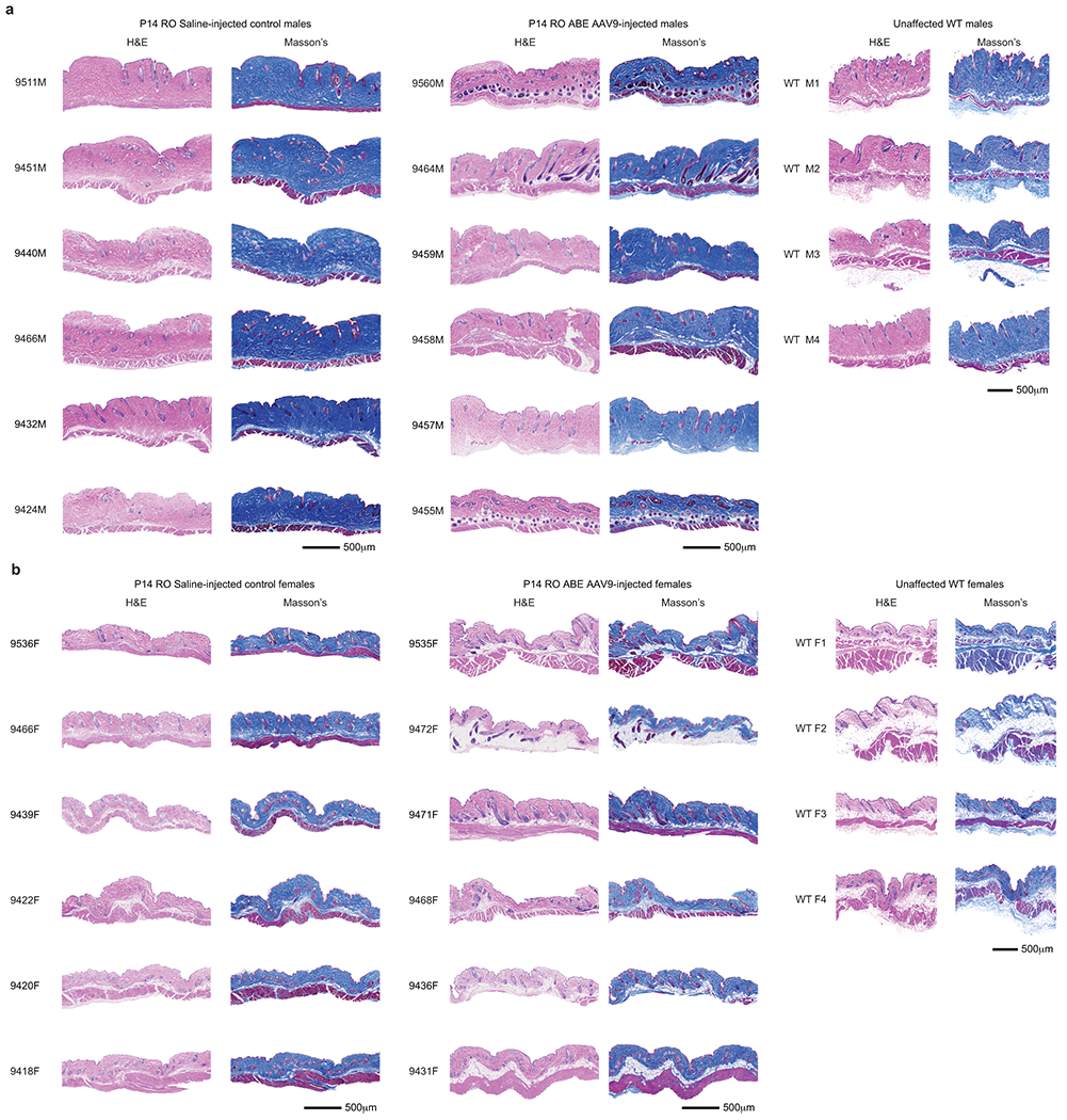 Extended Data Figure 10.