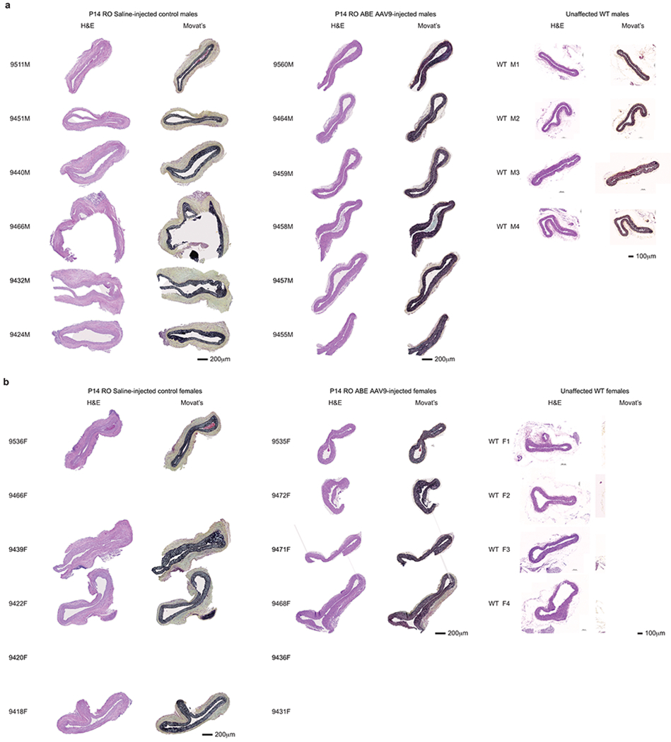 Extended Data Figure 7.