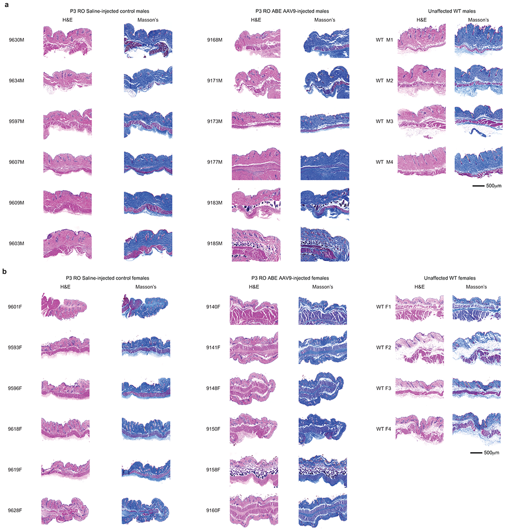 Extended Data Figure 9.