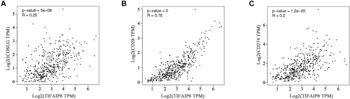 FIGURE 9