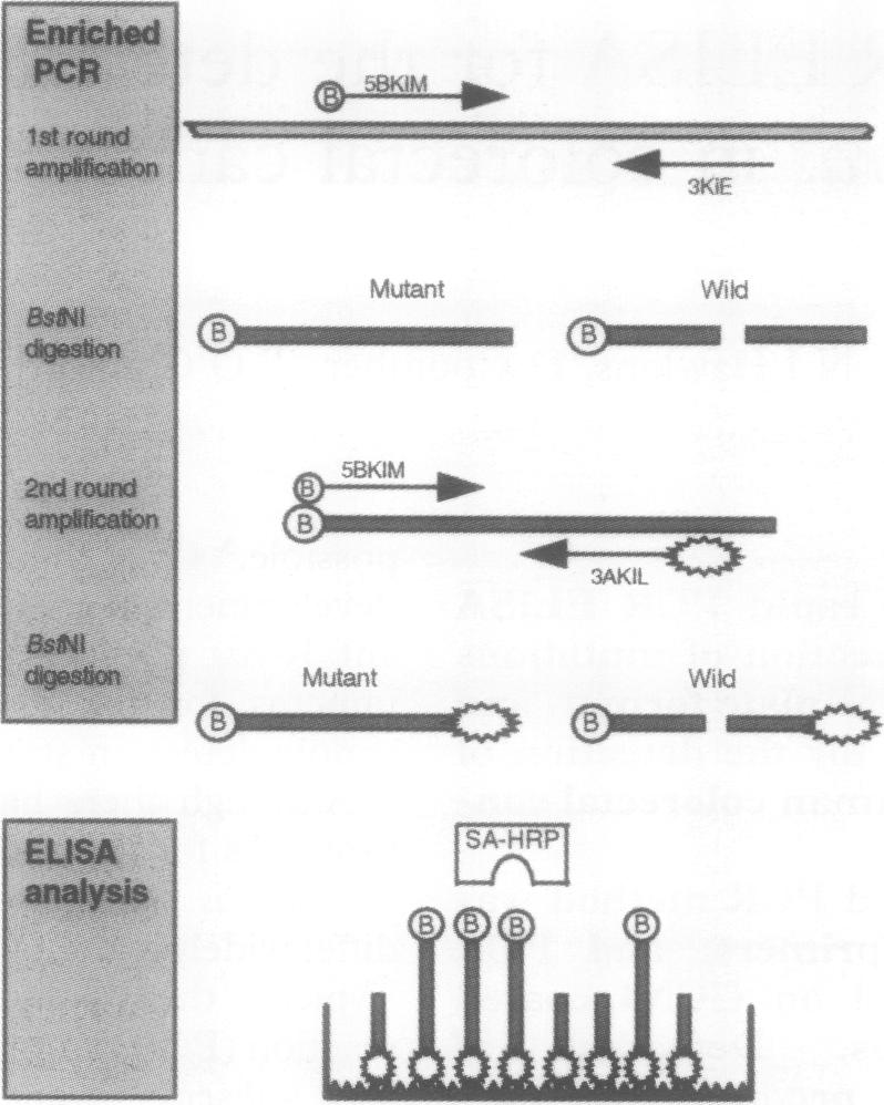 graphic file with name clinmolpath00010-0058-a.jpg