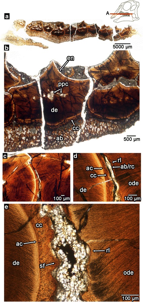 Fig. 6