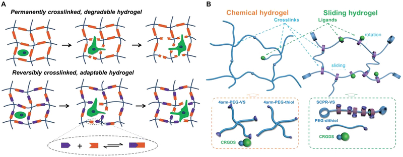 Figure 22.