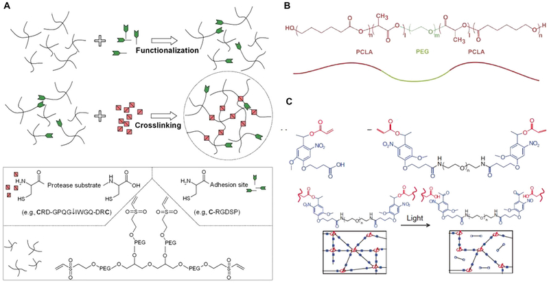 Figure 23.