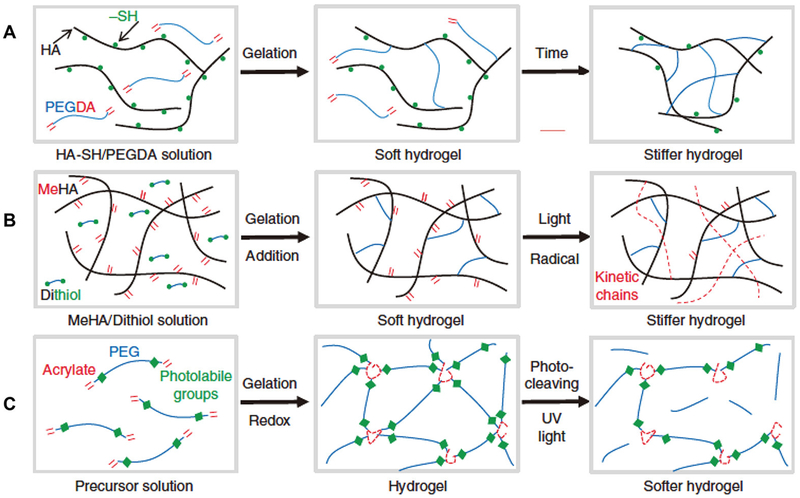 Figure 19.