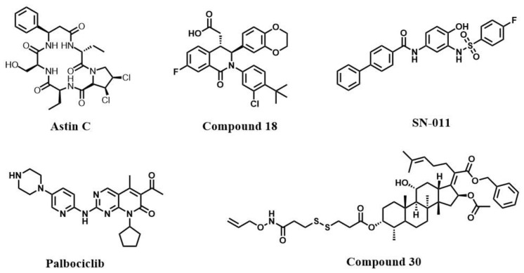 Figure 5