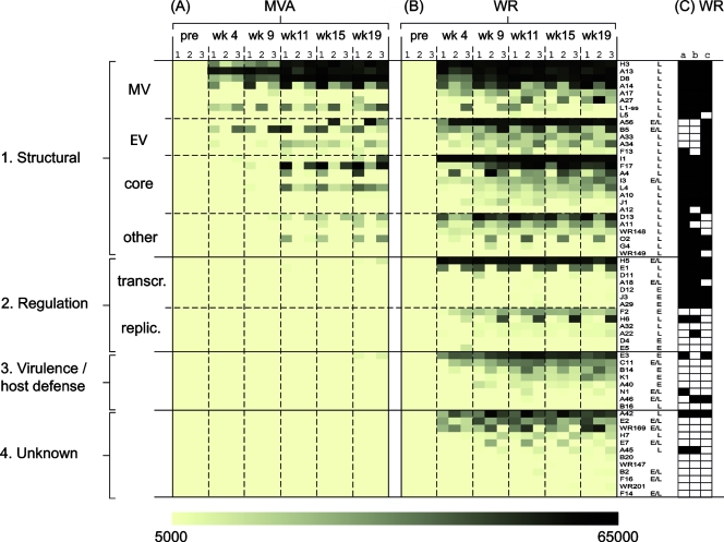 FIG. 4.