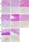 FIG 5