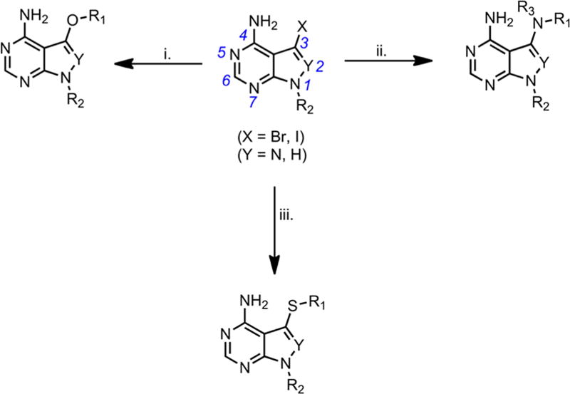 Scheme 1