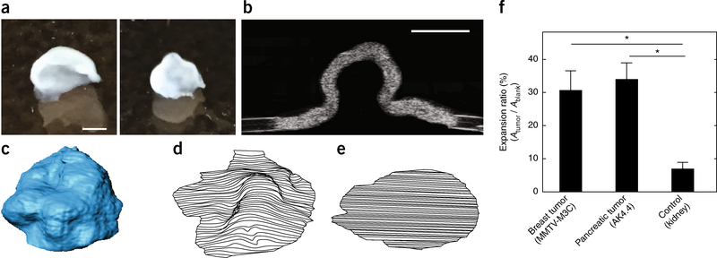 Figure 3 |