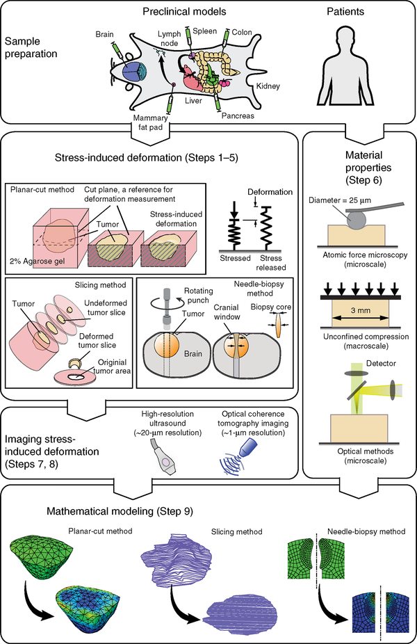 Figure 1 |