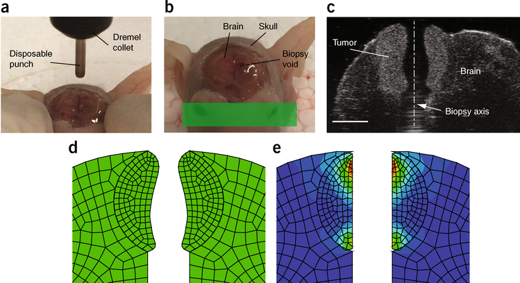 Figure 4 |