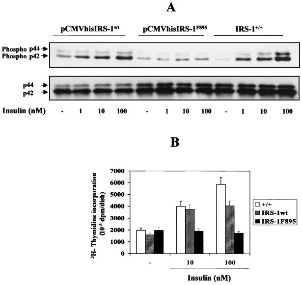 FIG. 8