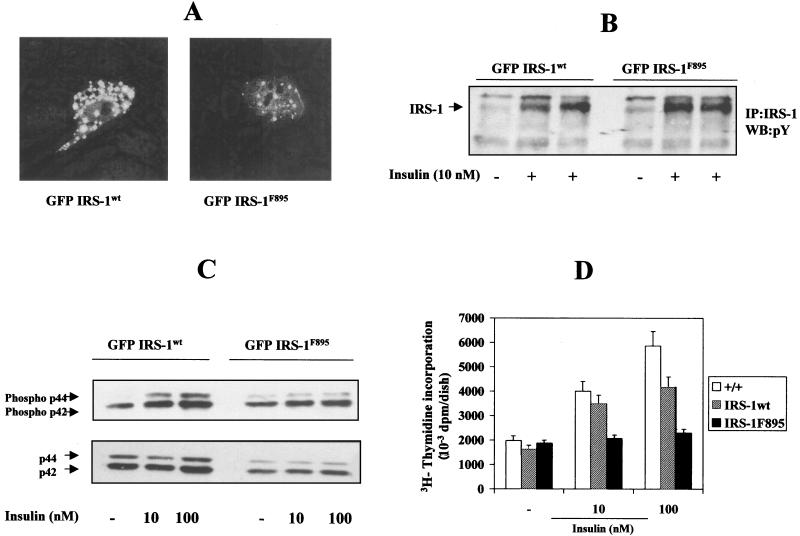 FIG. 9