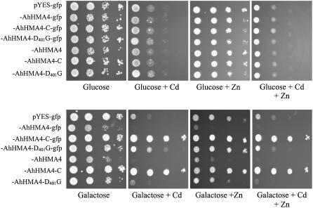 Figure 6.