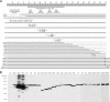 FIG. 9.