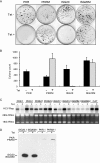 FIG. 6.