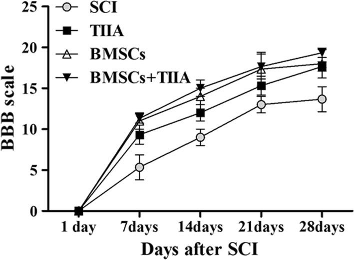 Fig. 7