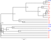 Figure S1
