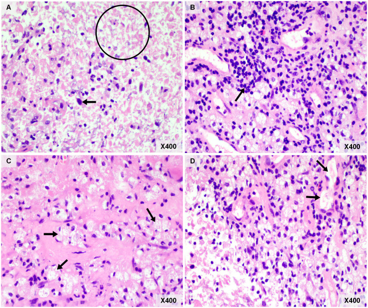 Figure 3