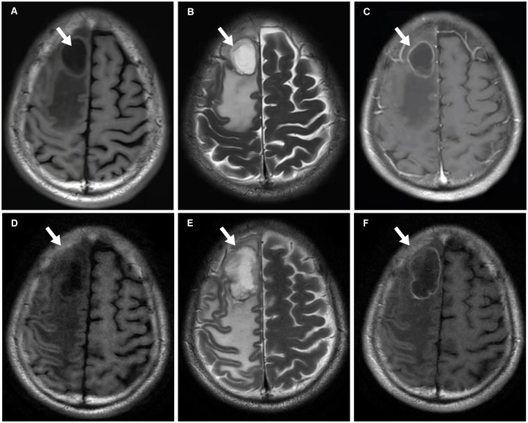 Figure 2