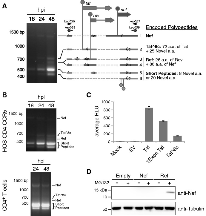 Figure 3.