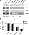 FIG 1