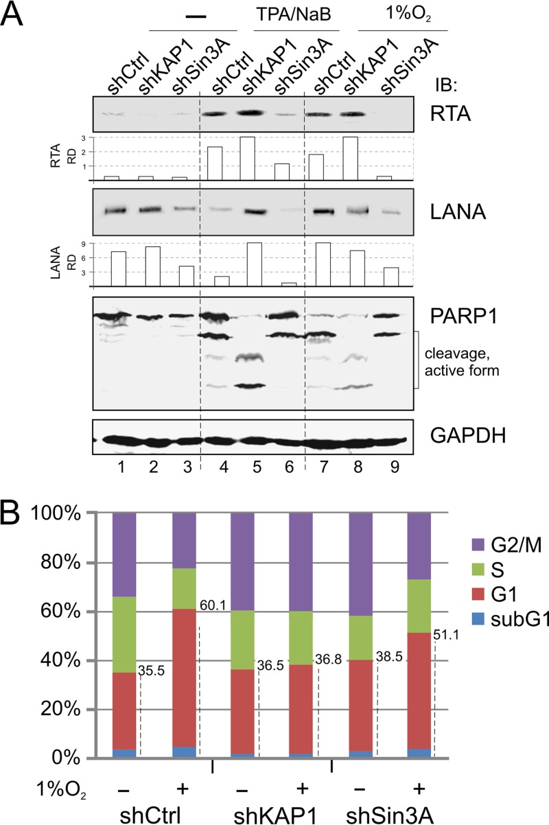 FIG 3