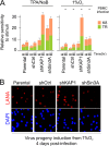 FIG 2