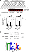 FIG 6